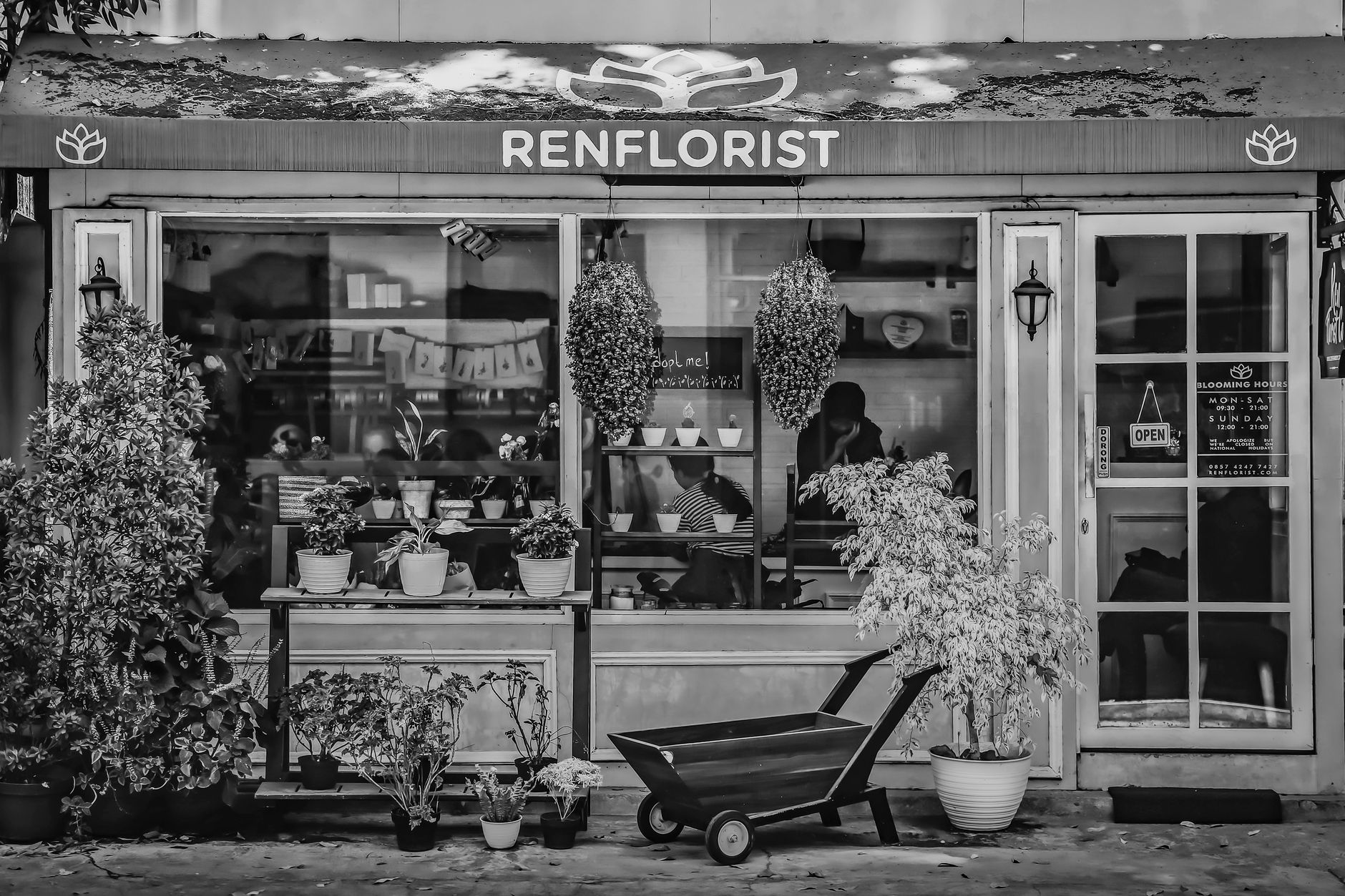 Fleuriste à Bordeaux